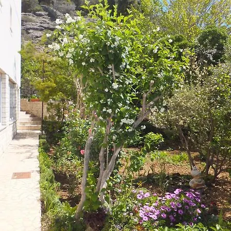 Justic Supetarska Draga