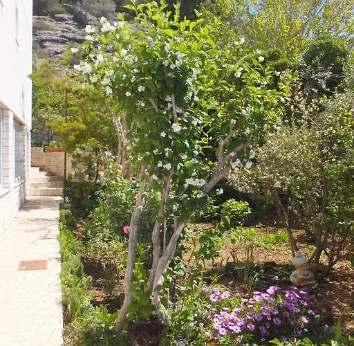 Justic Supetarska Draga